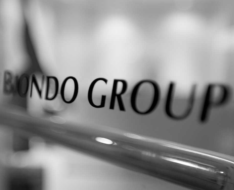 Biondo Entry